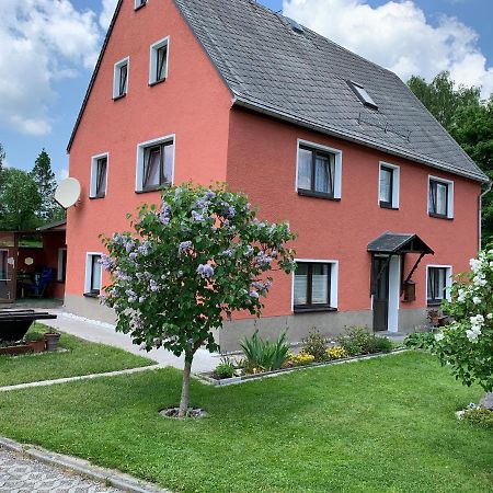 Ferienwohnung Lippmann Grosshartmannsdorf المظهر الخارجي الصورة