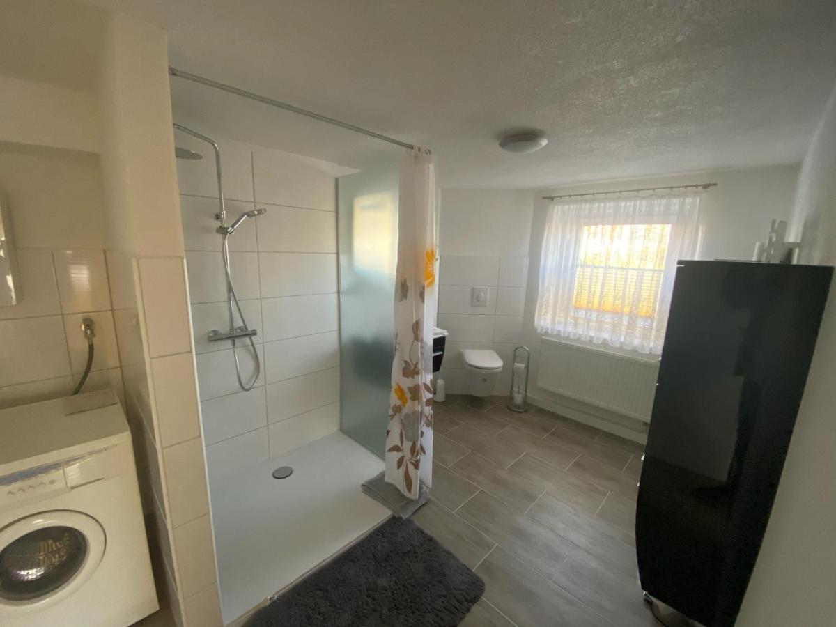 Ferienwohnung Lippmann Grosshartmannsdorf المظهر الخارجي الصورة