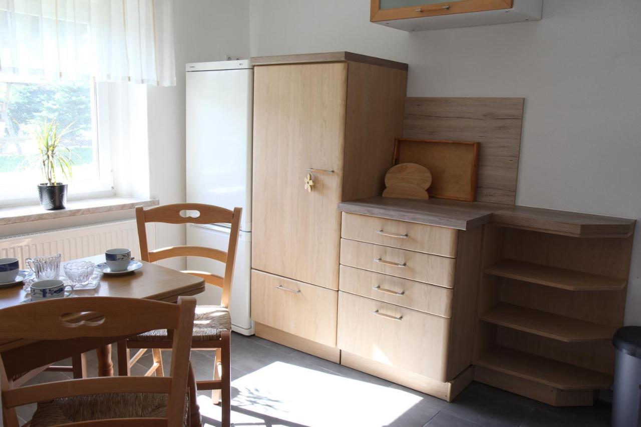 Ferienwohnung Lippmann Grosshartmannsdorf المظهر الخارجي الصورة